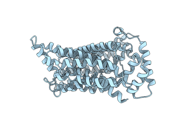 9CAX image