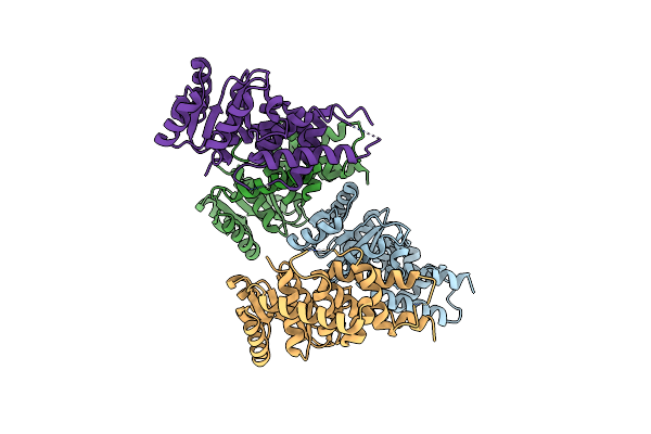 9CB6 image