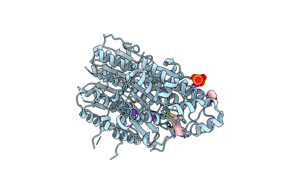 9CBG image