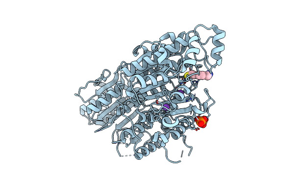 9CBH image