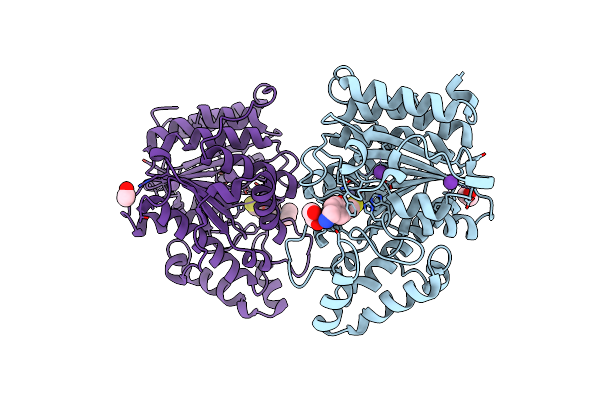 9CBK image