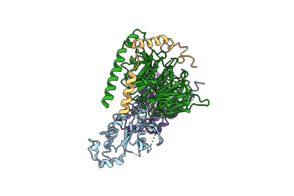 9CBL image