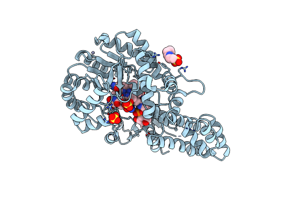 9CBQ image