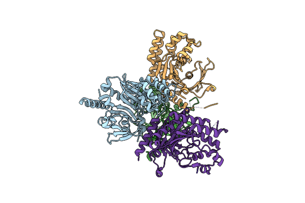 9CBS image