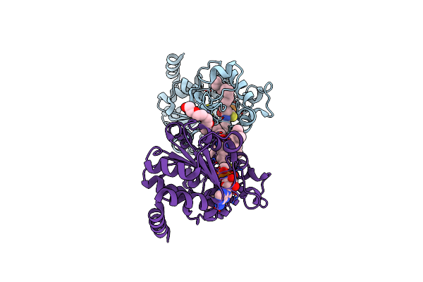 9CBT image