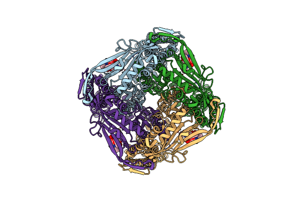9CBZ image