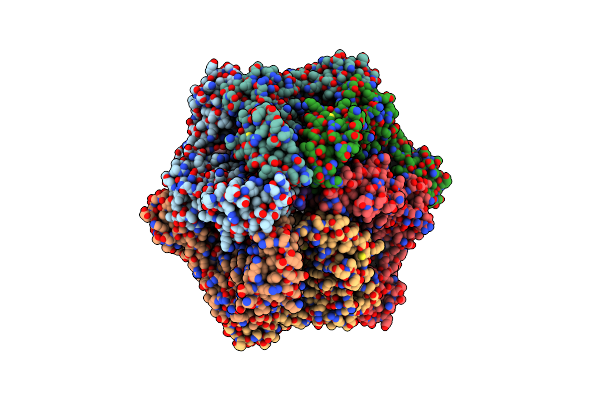 9CC1 image