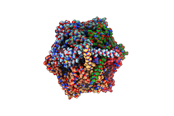 9CC3 image