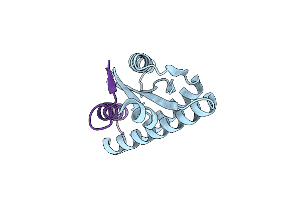 9CC5 image