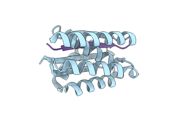 9CC6 image
