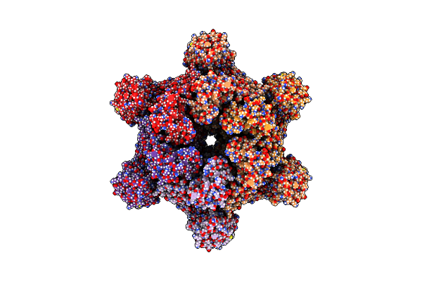 9CC9 image