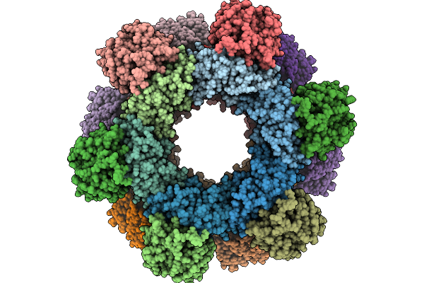 9CCA image