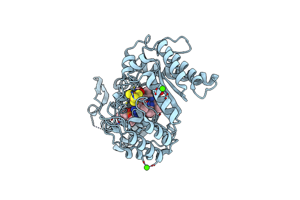 9CCB image