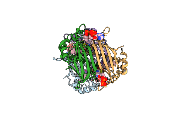 9CCR image