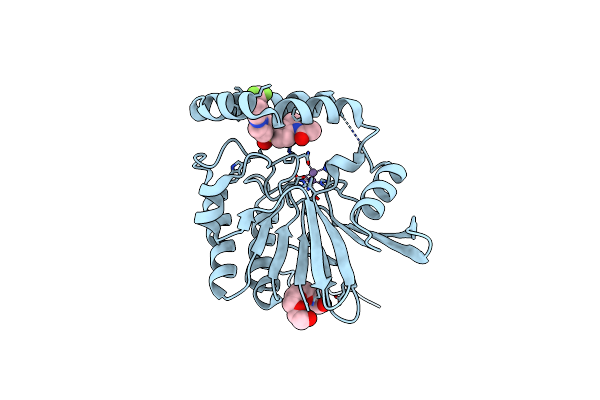 9CCX image