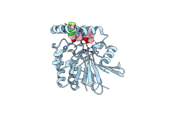 9CD1 image