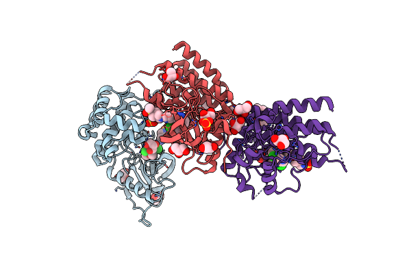 9CD7 image