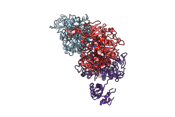 9CD8 image