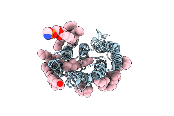9CDC image