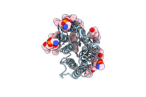9CDD image