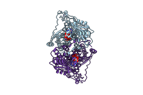 9CDH image