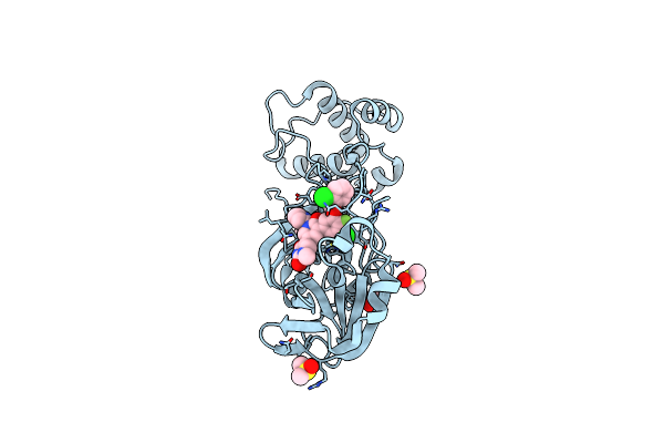 9CDK image