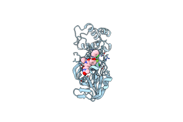 9CDL image