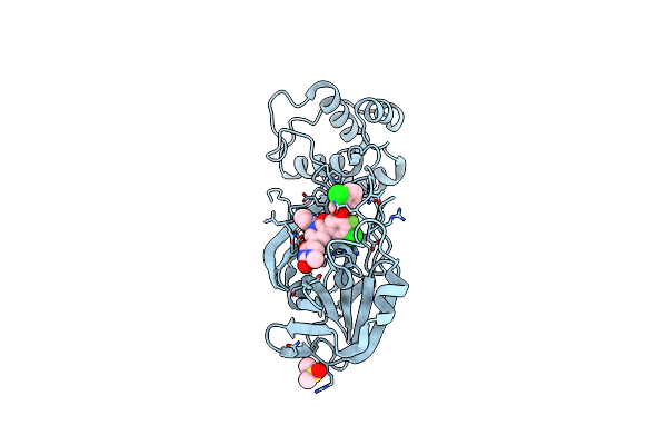 9CDM image