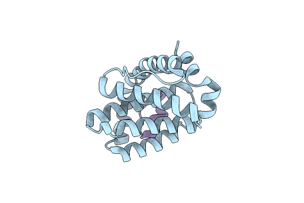 9CDT image