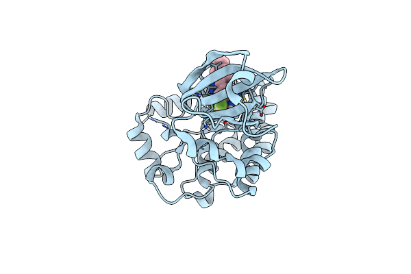 9CDX image