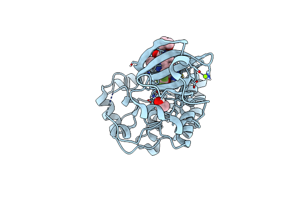 9CDY image