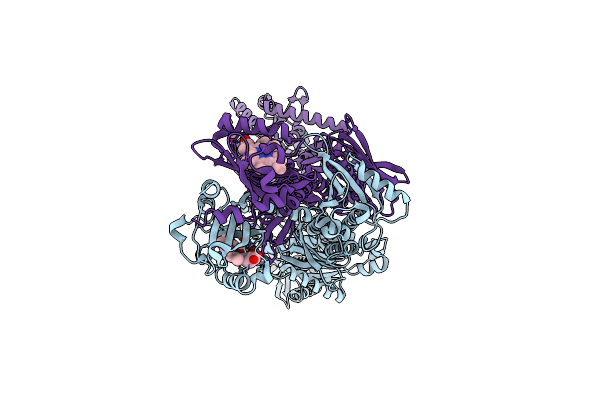 9CE0 image