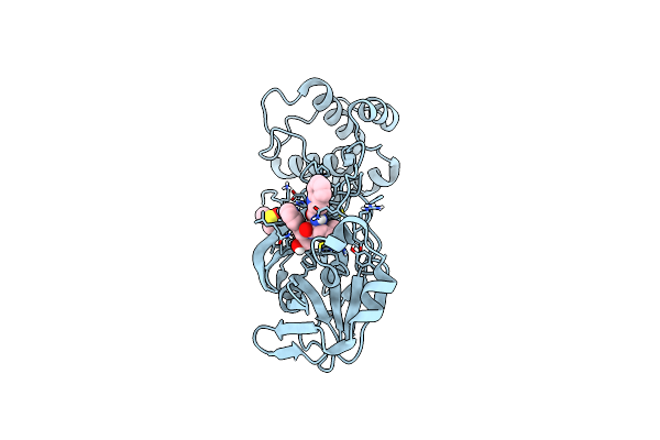 9CEC image
