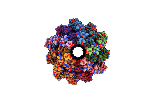 9CEF image