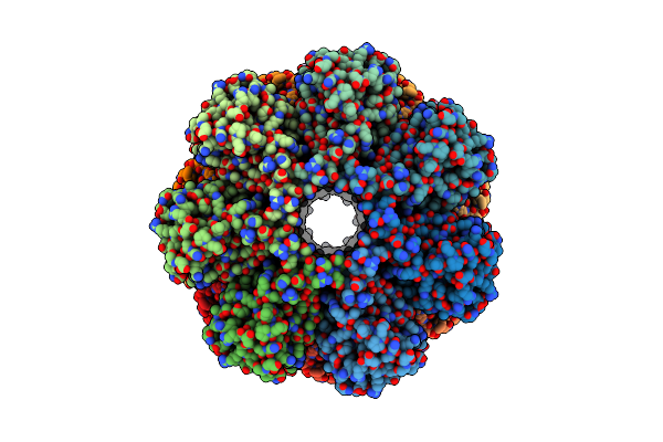 9CEG image