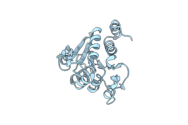 9CEI image