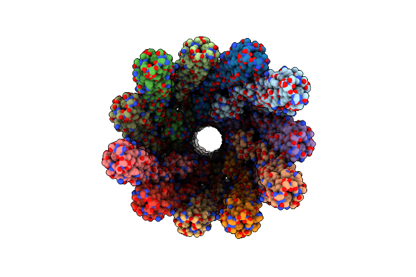 9CEP image