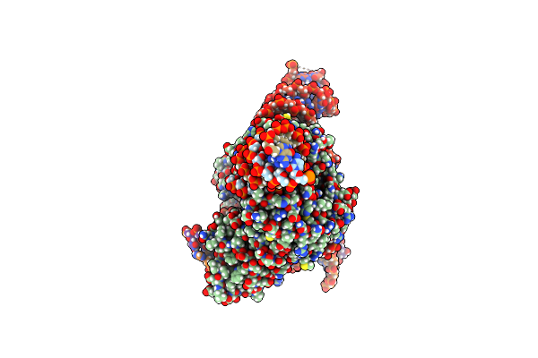 9CEW image