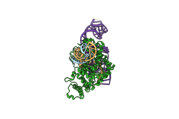 9CEZ image