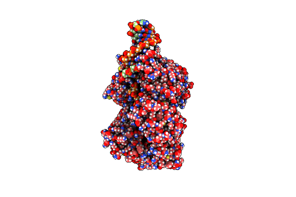 9CF1 image