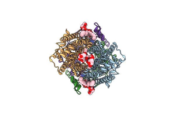 9CFL image