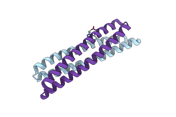 9CFS image