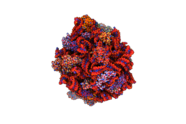 9CG6 image