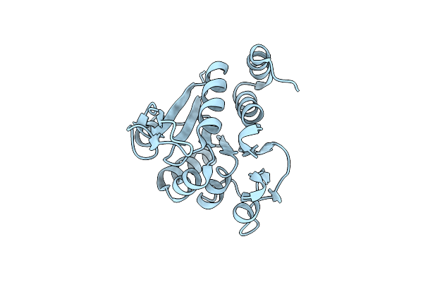 9CGD image
