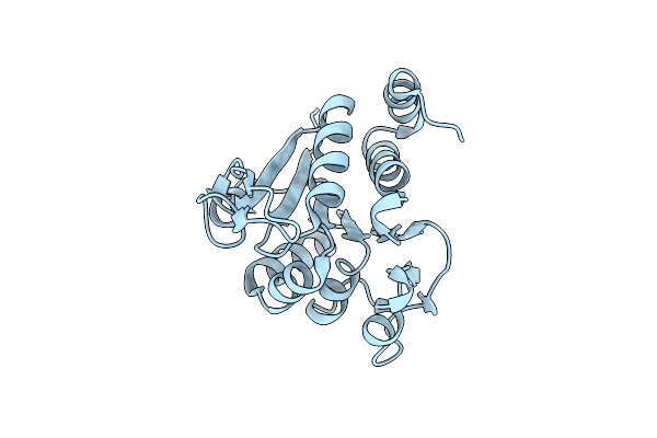 9CGG image