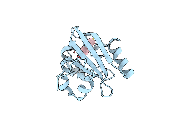 9CGH image