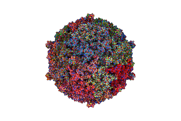 9CGM image