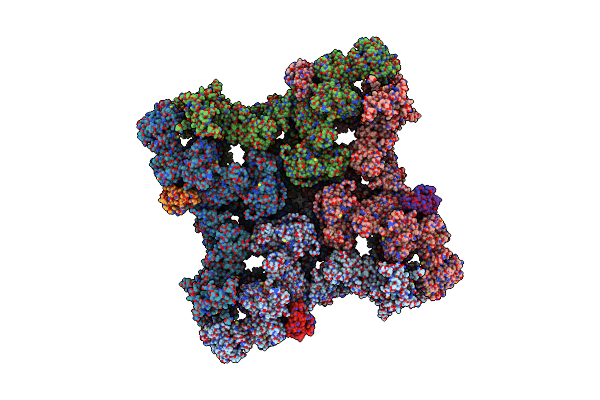 9CGP image