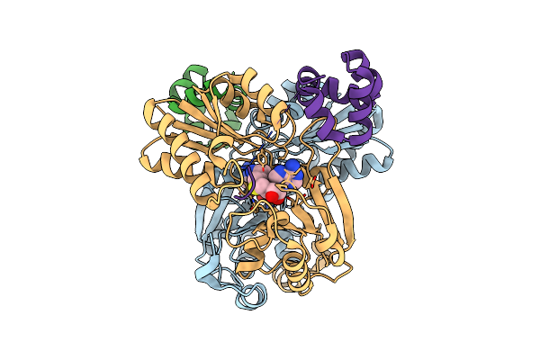 9CH5 image