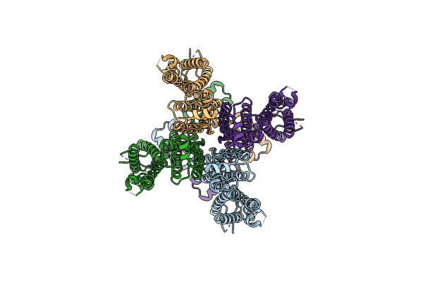 9CHP image